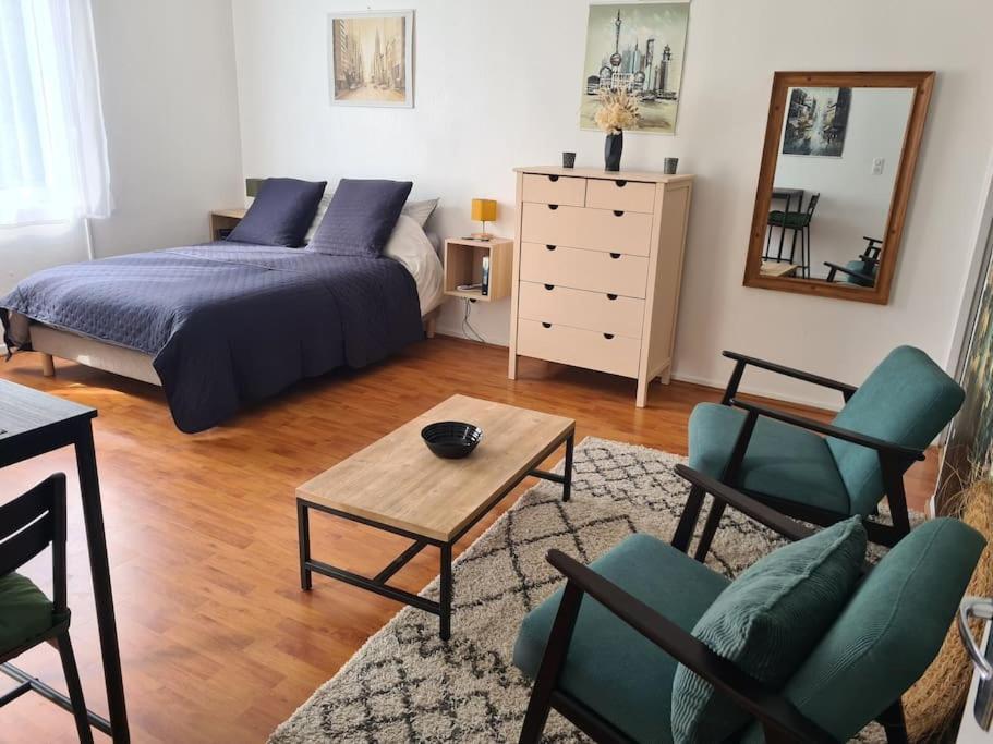 Studio Avec Terrasse Et Place De Parking Toulouse Eksteriør billede